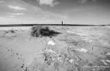 DSC_7696.jpg