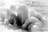 DSC_7701.jpg