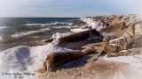 DSC_7709.jpg