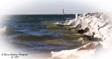 DSC_7711.jpg