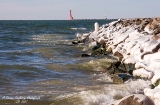 DSC_7712.jpg