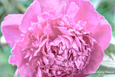 DSC_5909.jpg