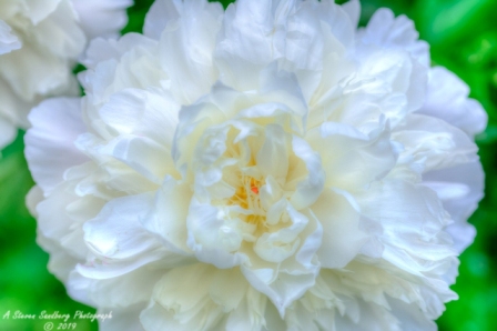 DSC_5921.jpg