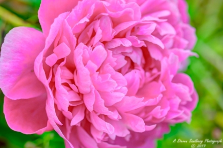 DSC_5927.jpg