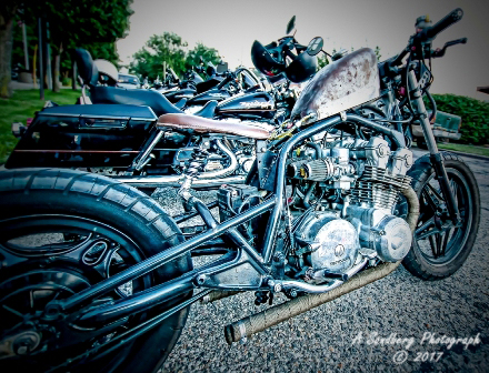 rebelroad-94a.jpg