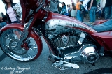 rebelroad-106.jpg