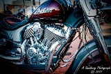 rebelroad-117a-2.jpg