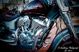 rebelroad-117a.jpg