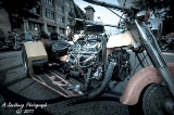 rebelroad-38.jpg