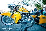 rebelroad-62.jpg