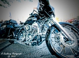 rebelroad-64a.jpg