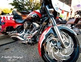rebelroad-82.jpg