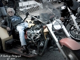 rebelroad-9.jpg