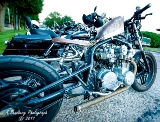 rebelroad-94.jpg