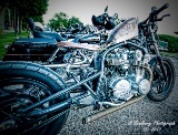 rebelroad-94a.jpg