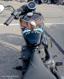 rebel18-38.jpg