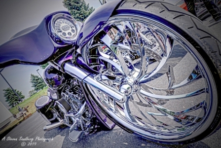 DSC_6326a.jpg