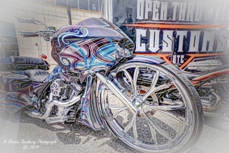 DSC_6337a.jpg