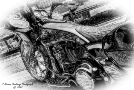DSC_6339a.jpg