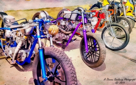 DSC_6357a.jpg