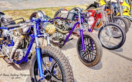 DSC_6358.jpg