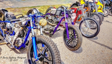 DSC_6359.jpg