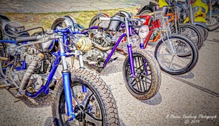 DSC_6359a.jpg