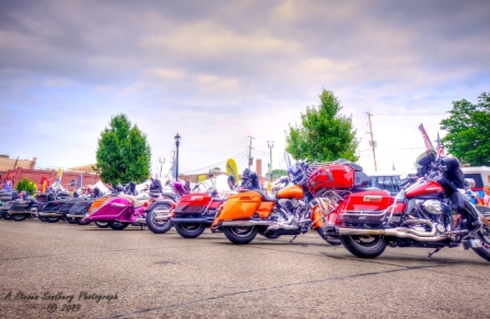 DSC_6408.jpg