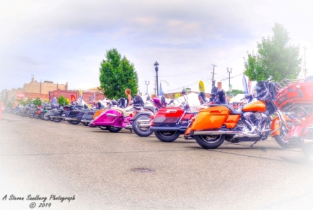 DSC_6409.jpg