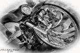 DSC_6326c.jpg