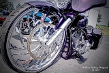 DSC_6328a.jpg