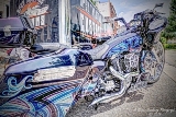 DSC_6335a.jpg