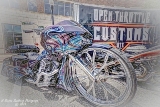 DSC_6336a.jpg