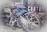 DSC_6337a.jpg