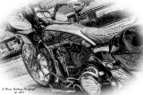 DSC_6339a.jpg