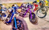 DSC_6357a.jpg
