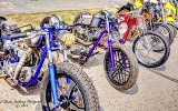 DSC_6358.jpg