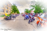 DSC_6384.jpg