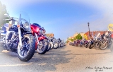 DSC_6394.jpg