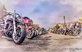 DSC_6394a.jpg