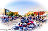 DSC_6402a.jpg