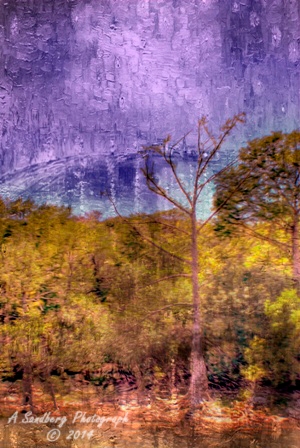 11scenic_cm.jpg