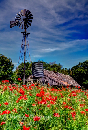 01rustic17.jpg