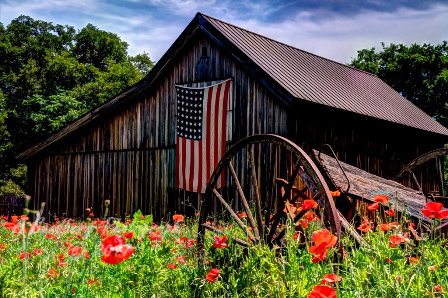 04rustic17.jpg