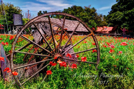 08rustic17.jpg