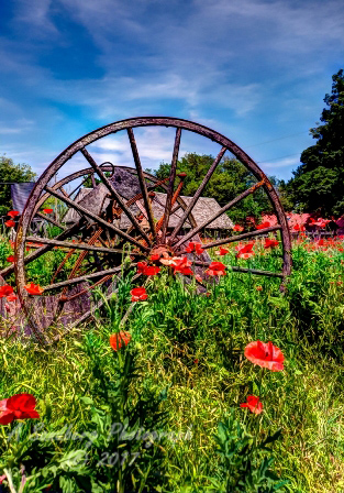 09rustic17.jpg