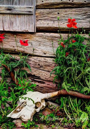 22rustic17.jpg