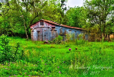 56rustic17.jpg