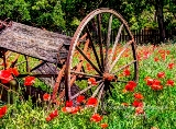 07rustic17.jpg