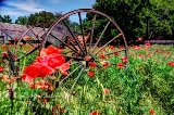 12rustic17.jpg